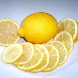 Лимон